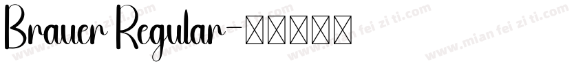 Brauer Regular字体转换